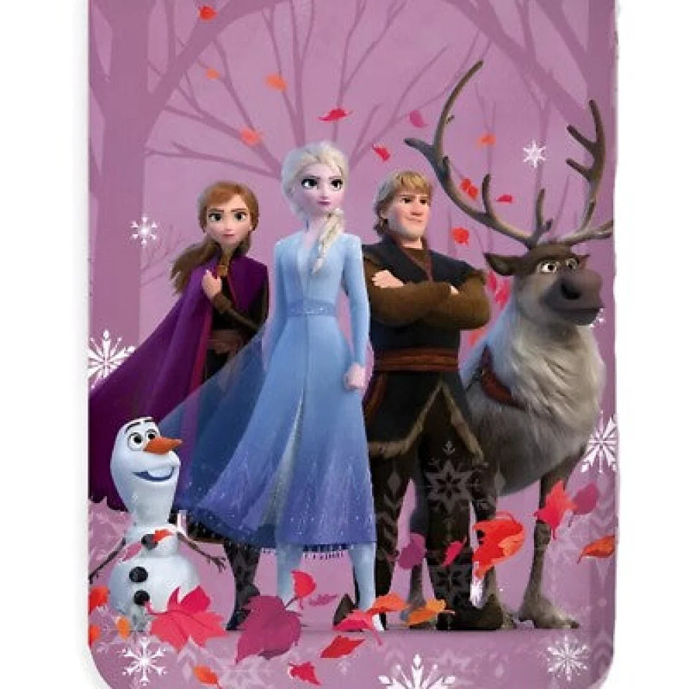 Disney Die EIskönigin Baby Kleinkinder Bettwäsche Set 100x135 40x60 - WS-Trend.de