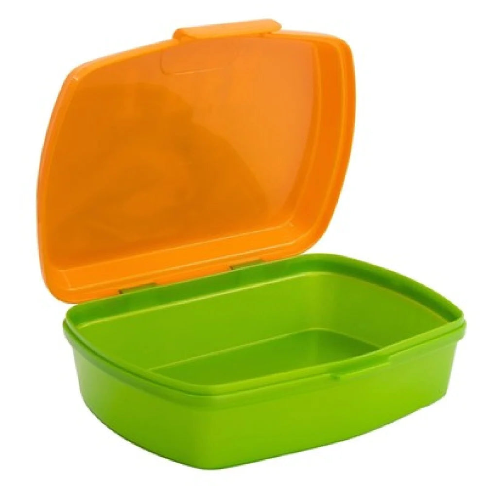 Dinosaurier T-Rex Kinder 2 teiliges Set - WS-Trend.de