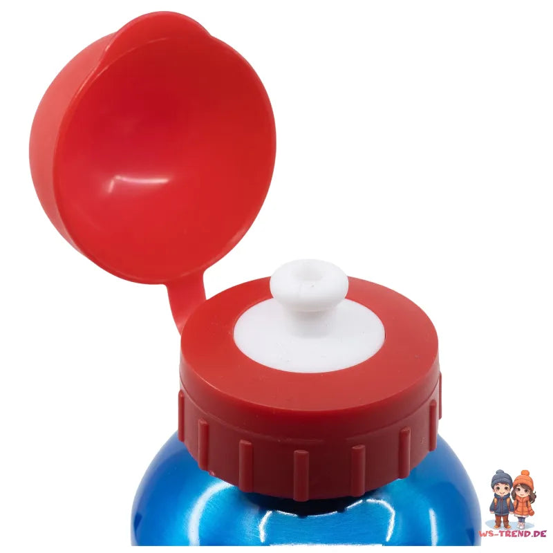 Sonic The Hedgedog ALU Sportflasche Wasserflasche Trinkflasche Flasche 530 ml - WS-Trend.de