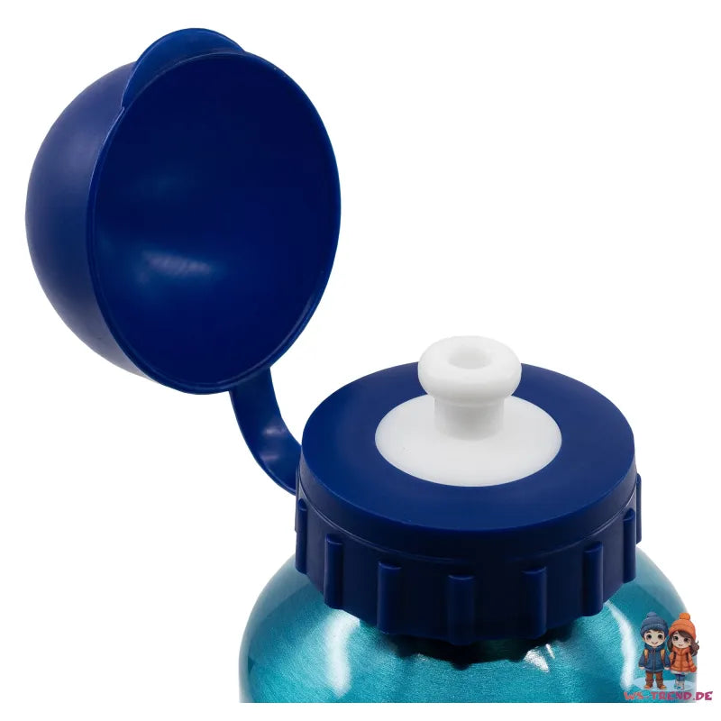 Disney Bluey Bingo Kinder 2 teiliges Set Brotdose plus Aluminium Trinkflasche WS Trend.de