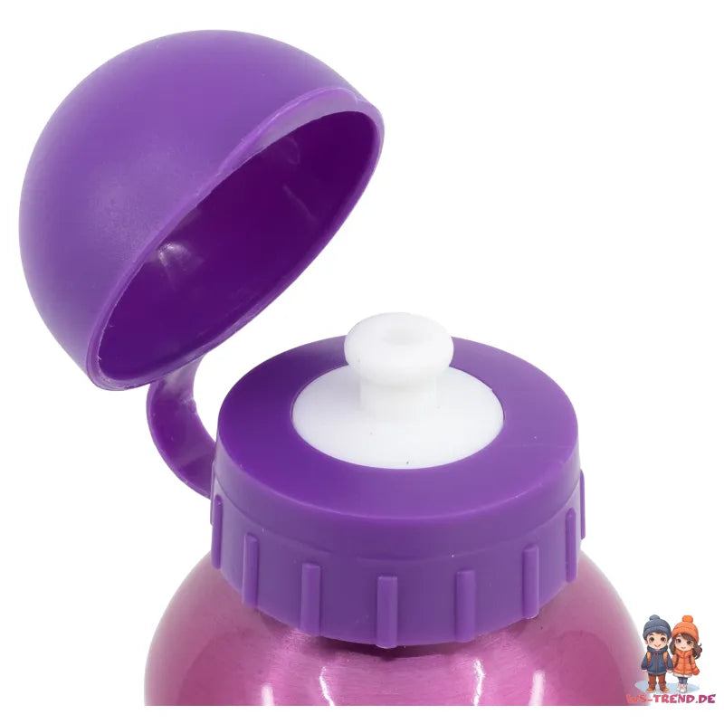 Disney Prinzessinnen Alu Sportflasche Trinkflasche Flasche 530 ml - WS-Trend.de Wasserflasche