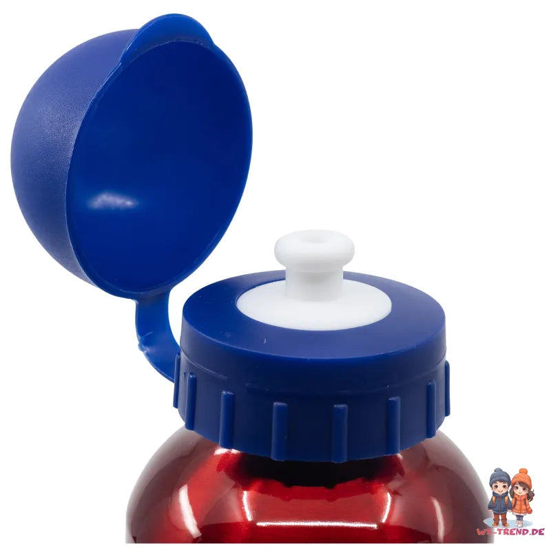 Marvel Avengers Aluminium Wasserflasche Trinkflasche Flasche 530 ml - WS-Trend.de Sport