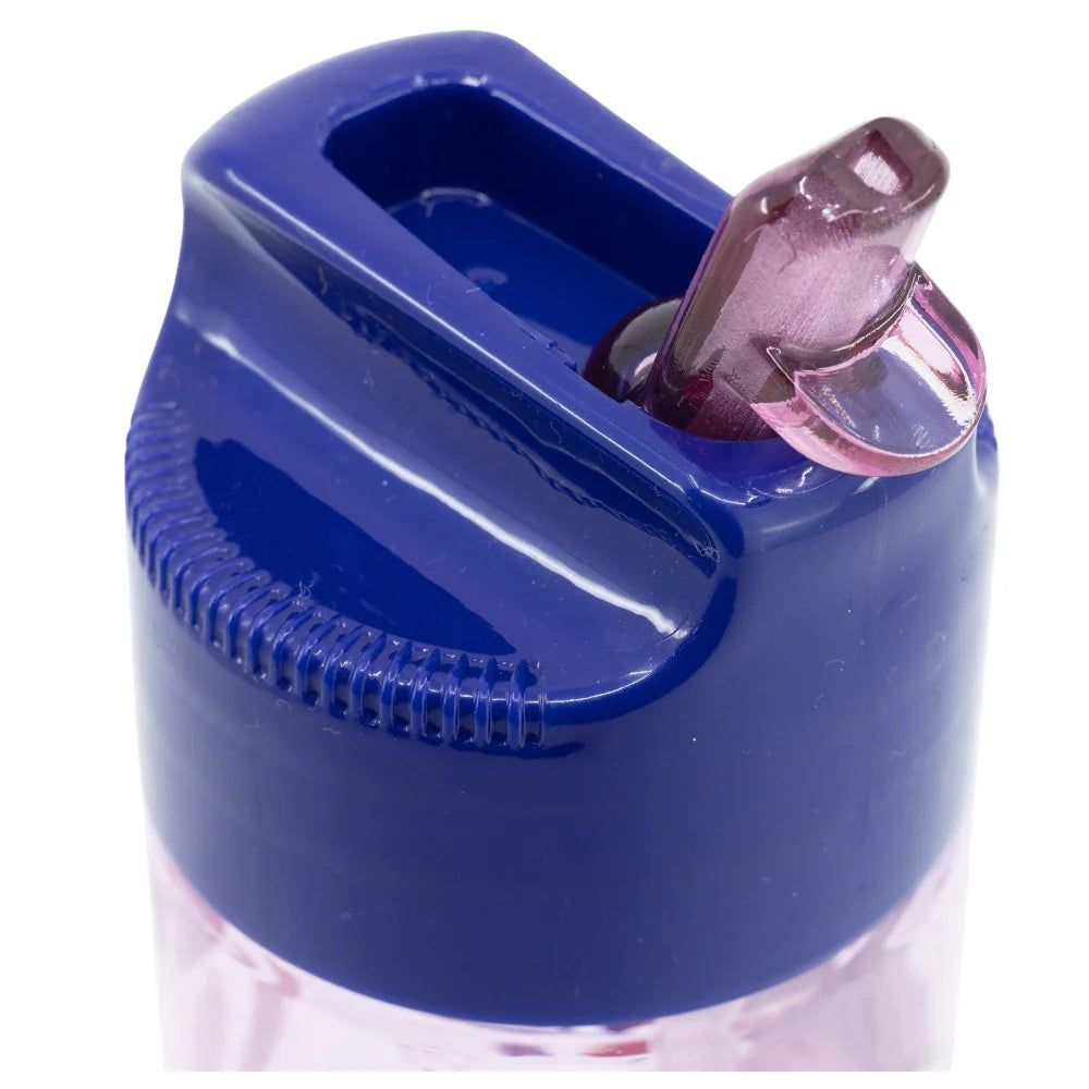 Disney Die Eiskönigin Kinder Wasserflasche Trinkflasche Flasche 540 ml - WS-Trend.de