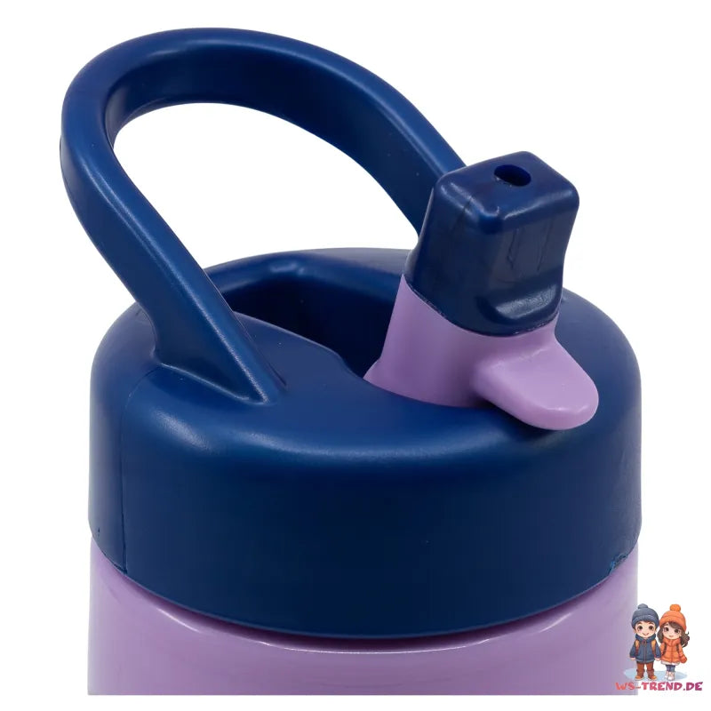 Disney Die Eiskönigin Elsa Anna Kinder Wasserflasche Trinkflasche Flasche 410 ml - WS-Trend.de