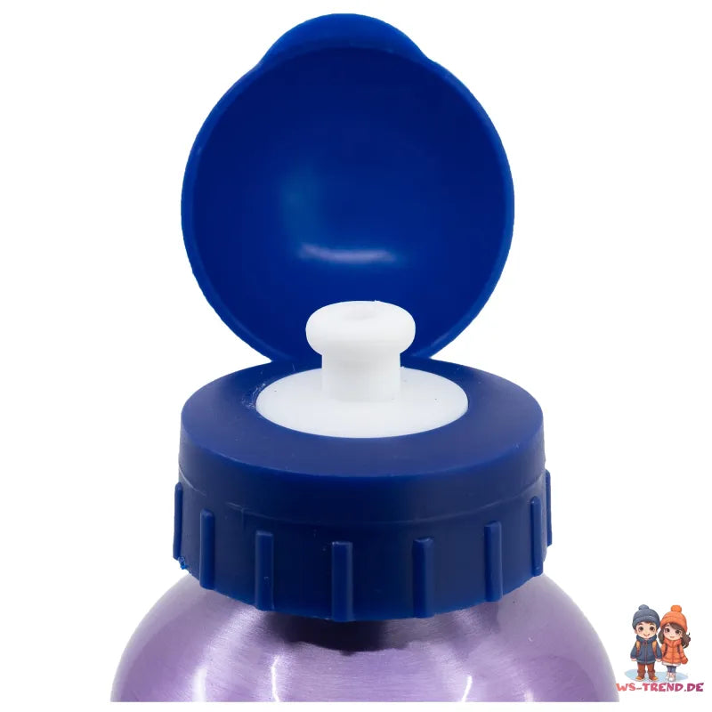 Disney Die Eiskönigin Alu Wasserflasche Trinkflasche Flasche 530 ml Anna Elsa WS Trend.de