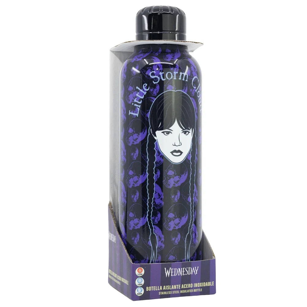 Wednesday Edelstahl Sportflasche Wasserflasche Trinkflasche Flasche - WS-Trend.de
