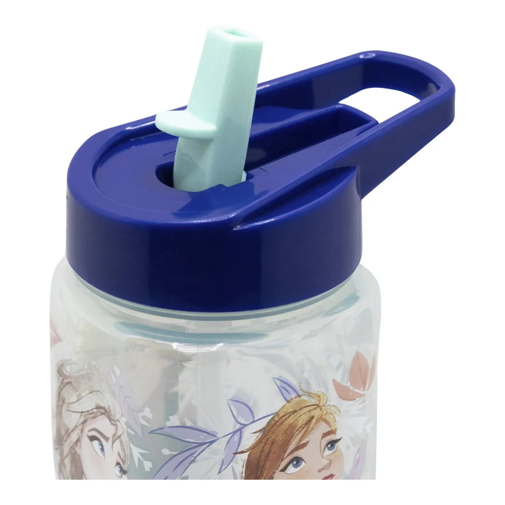 Disney Die Eiskönigin Elsa Anna Kinder Trinkflasche Flasche mit Halm 510 ml - WS-Trend.de
