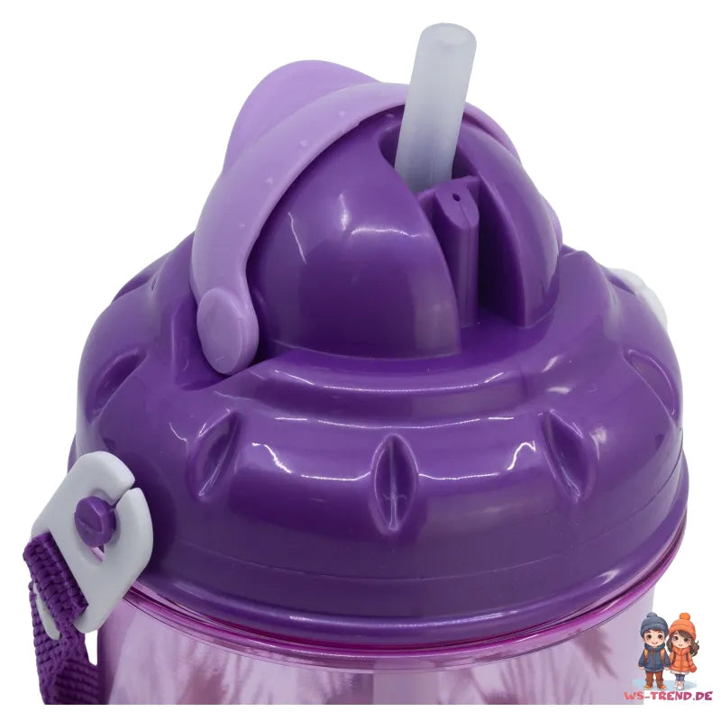 Disney Die Eiskönigin Elsa Anna Kinder Trinkflasche Flasche mit Halm 465 ml - WS-Trend.de