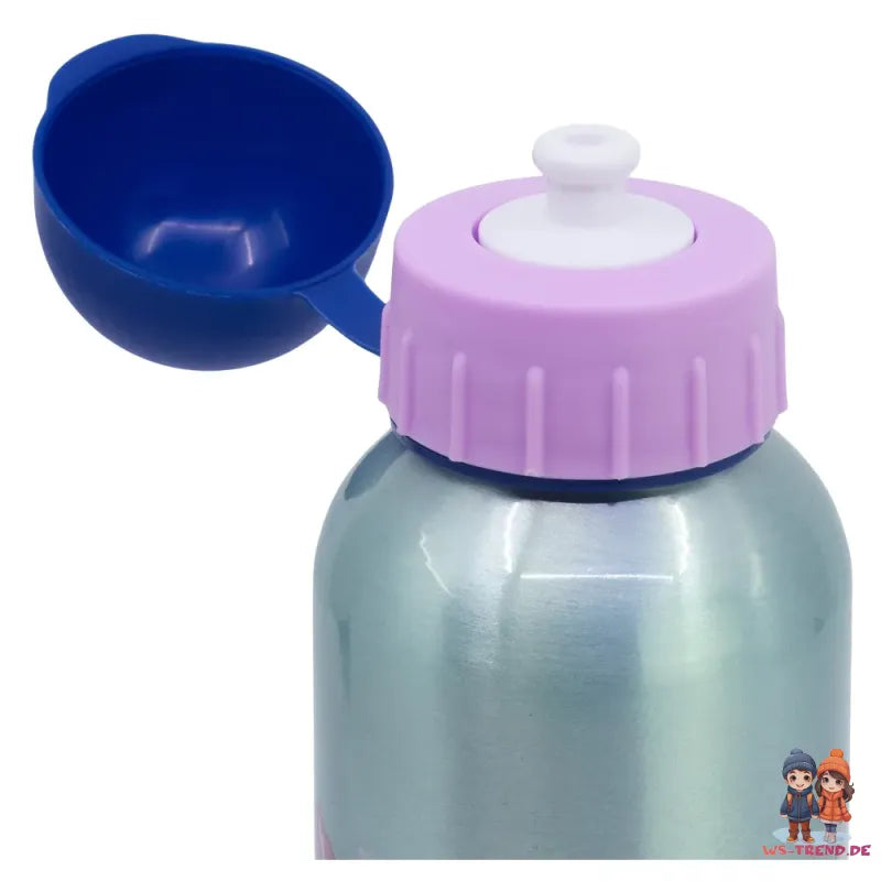 Disney Die Eiskönigin Anna Elsa 2 tlg Kinder Lunch Set Brotdose Alu-Trinkflasche 530ml - WS-Trend.de