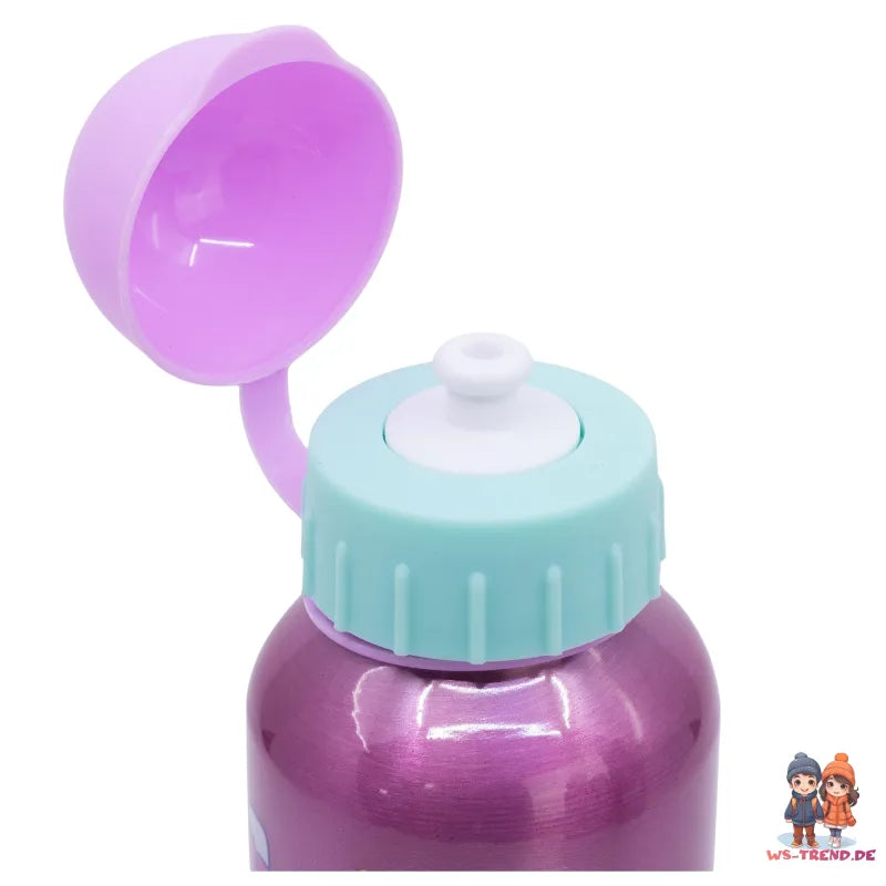 Hello Kitty Kinder Aluminium Wasserflasche Trinkflasche Flasche 530 ml - WS-Trend.de