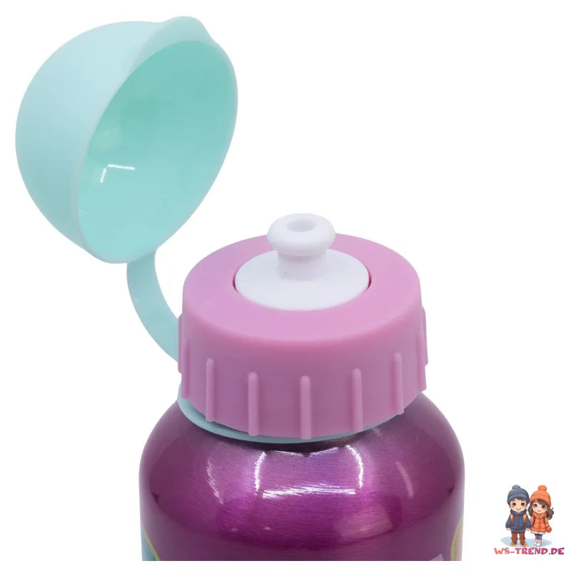 Paw Patrol Skye Liberty Everes 2 tlg Kinder Set Brotdose Alu Trinkflasche 400 ml - WS-Trend.de