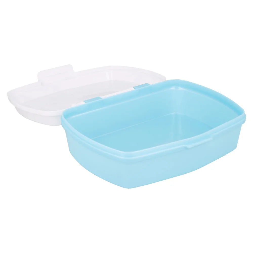 Die Eiskönigin 4-teiliges Set Brotdose - Trinkflasche - Löffel Gabel - WS-Trend.de Disney Anna 4 teiliges
