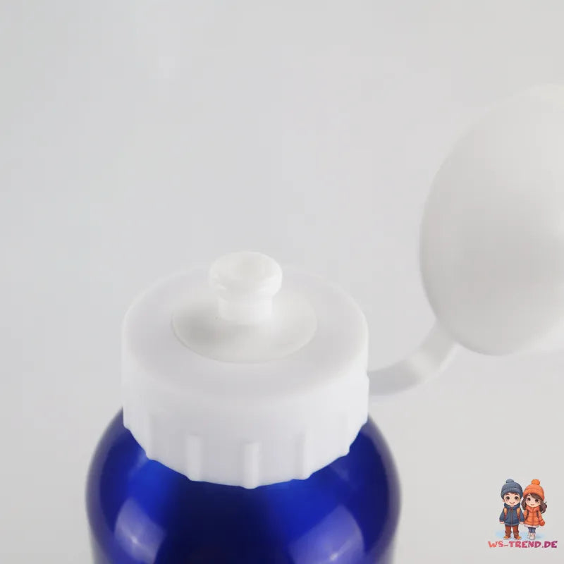 Marvel Avengers Aluminium Wasserflasche Trinkflasche Flasche 500 ml - WS-Trend.de Sport