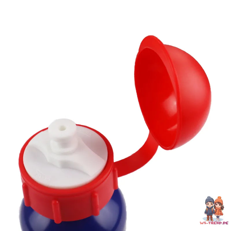 Marvel Avengers Aluminium Wasserflasche Trinkflasche Flasche 520 ml - WS-Trend.de Sport