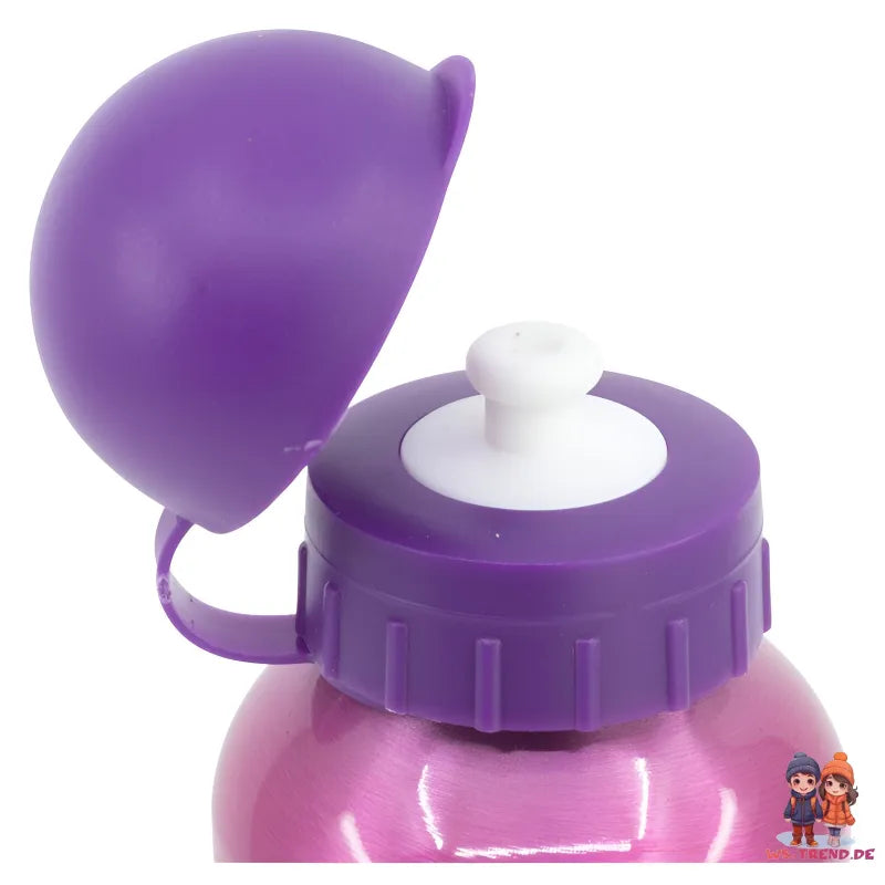 Disney Prinzessinnen Alu Sportflasche Wasserflasche Trinkflasche Flasche 400 ml - WS-Trend.de