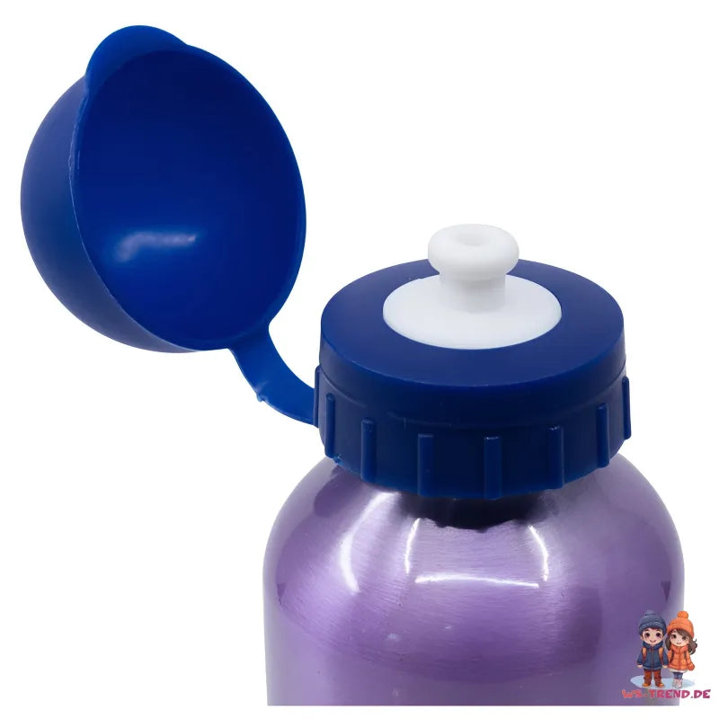 Disney Die Eiskönigin Alu Sportflasche Wasserflasche Trinkflasche Flasche 400 ml - WS-Trend.de