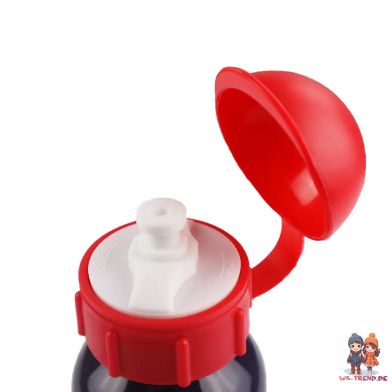 Disney Cars Lightning McQueen Aluminium Trinkflasche Flasche 520 ml - WS-Trend.de Wasserflasche