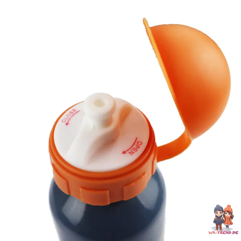 Disney Cars Lightning McQueen Aluminium Trinkflasche Flasche 520 ml - WS-Trend.de Wasserflasche