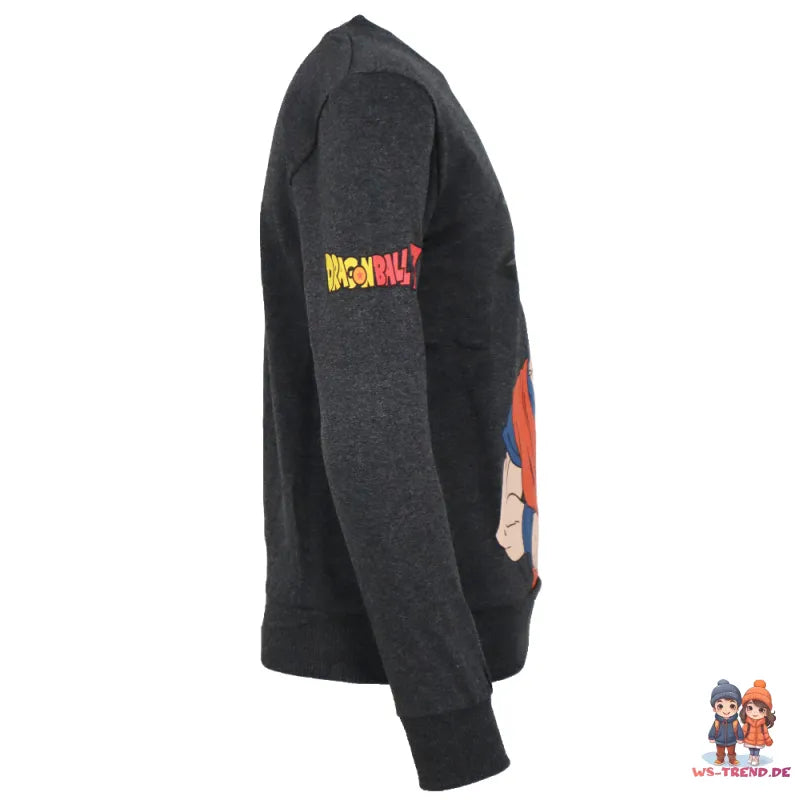DragonBall Super Goku Jungen Pullover Pulli Sweater - WS-Trend.de