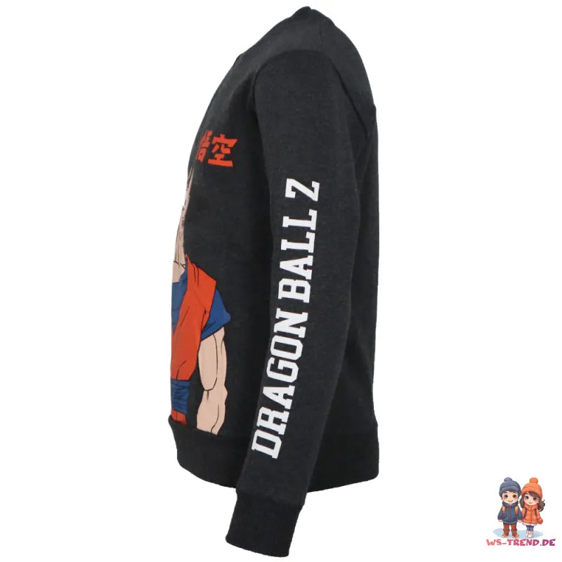 DragonBall Super Goku Jungen Pullover Pulli Sweater - WS-Trend.de