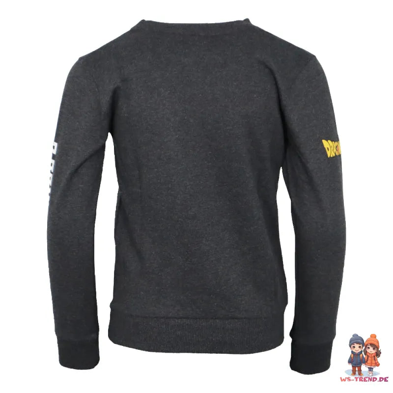 DragonBall Super Goku Jungen Pullover Pulli Sweater - WS-Trend.de