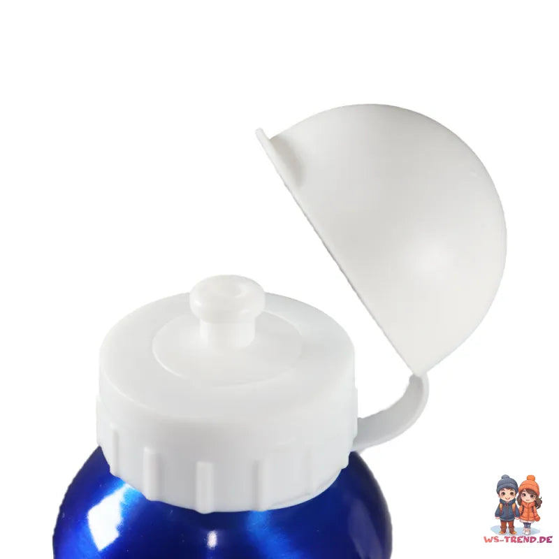 Disney Mickey Maus Donald Duck Aluminium Wasserflasche Trinkflasche Flasche 520 - WS-Trend.de