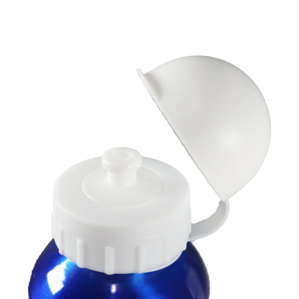 Disney Mickey Maus Donald Duck Aluminium Wasserflasche Trinkflasche Flasche 520 - WS-Trend.de