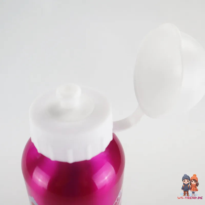 Disney Prinzessinnen Alu Wasserflasche Trinkflasche Flasche 500 ml - WS-Trend.de Sportflasche