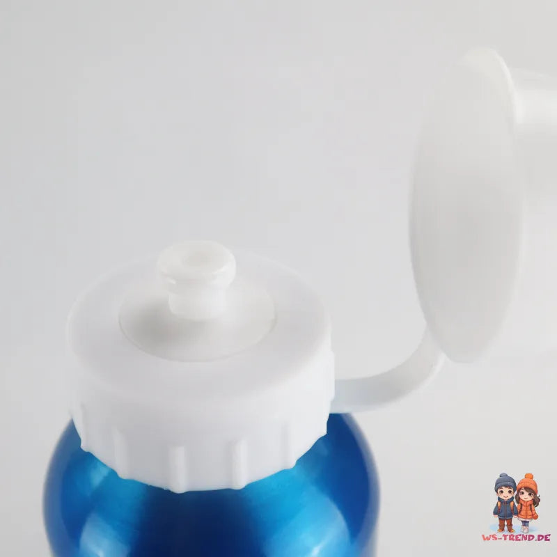 Disney Die Eiskönigin Alu Trinkflasche Flasche 500 ml Anna Elsa - WS-Trend.de Wasserflasche