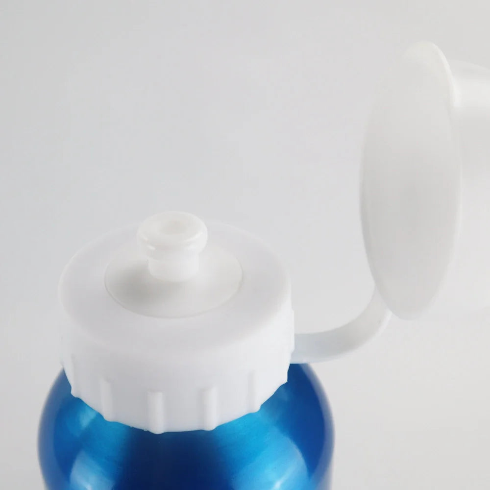Disney Die Eiskönigin Alu Trinkflasche Flasche 500 ml Anna Elsa - WS-Trend.de Wasserflasche