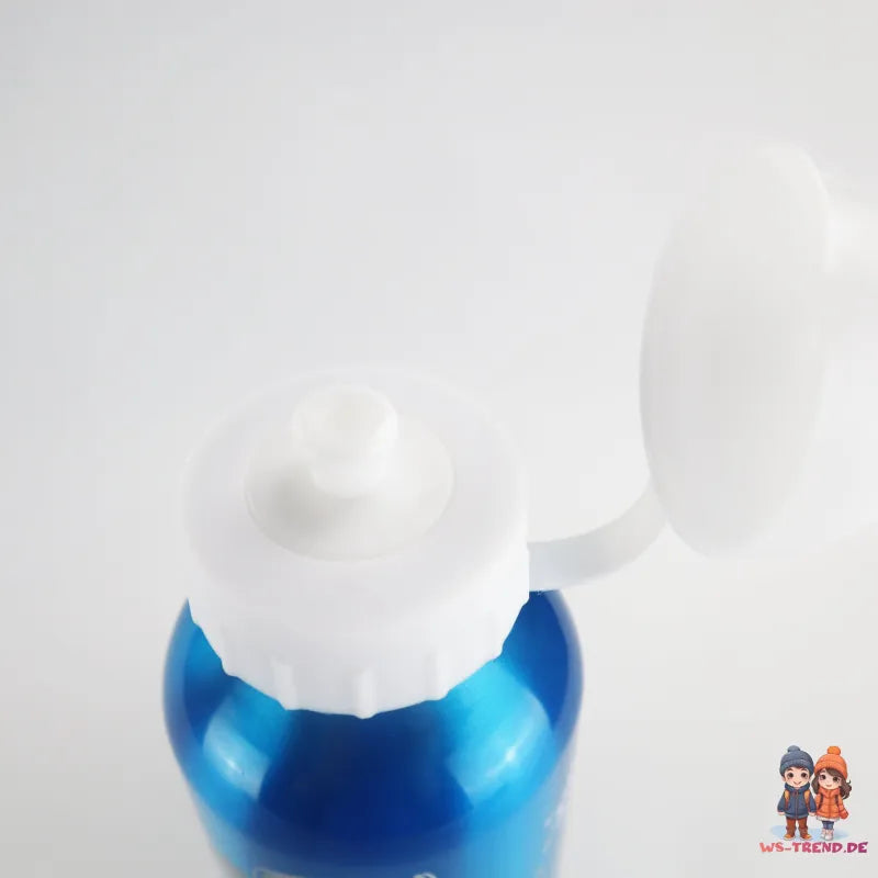 Disney Die Eiskönigin Alu Trinkflasche Flasche 500 ml Anna Elsa - WS-Trend.de Wasserflasche