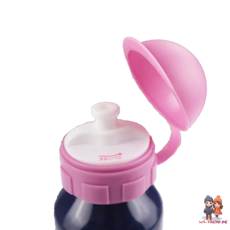 Disney Die Eiskönigin Alu Trinkflasche Flasche 520 ml Anna Elsa - WS-Trend.de Wasserflasche