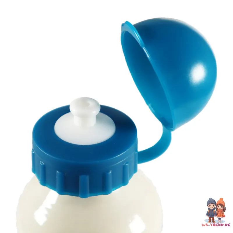 Disney Die Eiskönigin Alu Wasserflasche Trinkflasche Flasche 500 ml Anna Elsa - WS-Trend.de