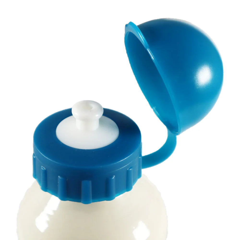 Disney Die Eiskönigin Alu Wasserflasche Trinkflasche Flasche 500 ml Anna Elsa - WS-Trend.de