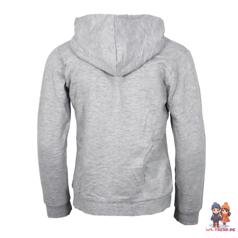 Disney Die Eiskönigin Elsa Kinder Pullover Hoodie Kapuzen Jacke - WS-Trend.de Gr. 110-128