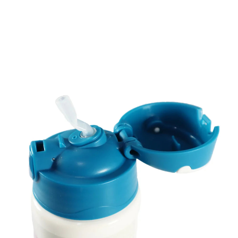 Disney Die Eiskönigin Alu Wasserflasche Trinkflasche Flasche 500 ml - WS-Trend.de