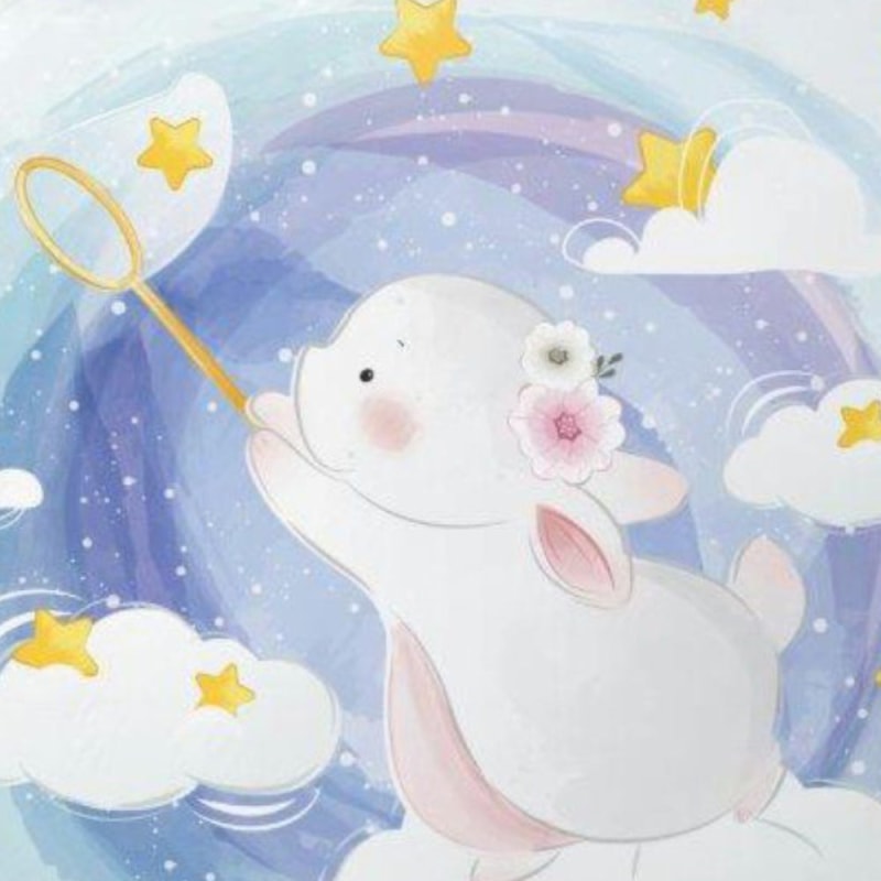 Der kleine Hase Baby Bettwäsche Set 100x135 40x60 - WS-Trend.de Kleiner 100% Baumwolle