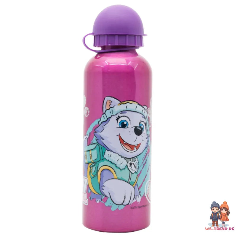 Paw Patrol Skye Everest Kinder Alu Wasserflasche Trinkflasche Flasche 530 ml - WS-Trend.de