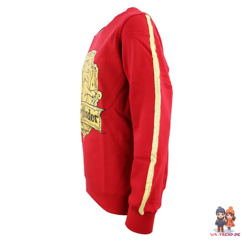 Harry Potter Gryffindor Kinder Mädchen Pullover Sweater - WS-Trend.de Pulli 134-164 Baumwolle