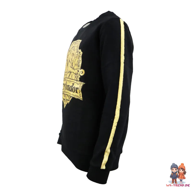 Harry Potter Gryffindor Kinder Mädchen Pullover Sweater - WS-Trend.de Pulli 134-164 Baumwolle