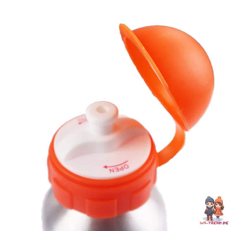 Hot Wheels Alu Wasserflasche Trinkflasche Flasche 500 ml - WS-Trend.de