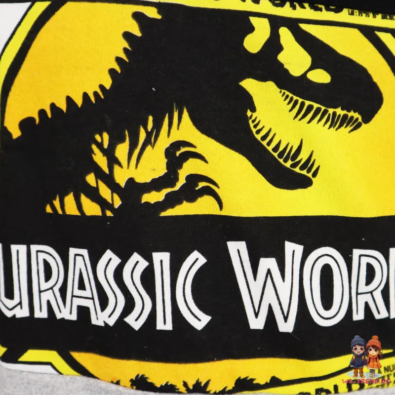 Jurassic World Kinder Pullover - WS-Trend.de Jungen Dinos Pulli 116 bis 146 100% Baumwolle