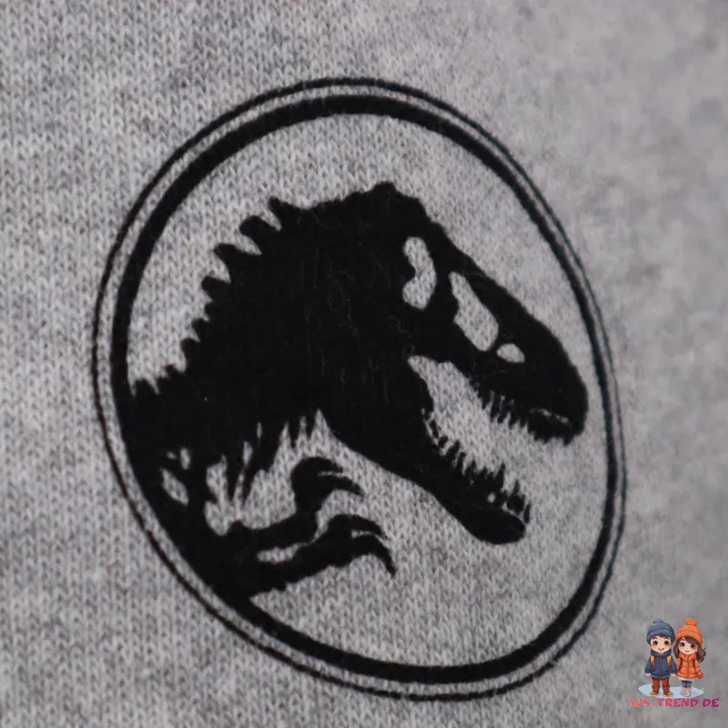 Jurassic World Kinder Pullover - WS-Trend.de Jungen Dinos Pulli 116 bis 146 100% Baumwolle