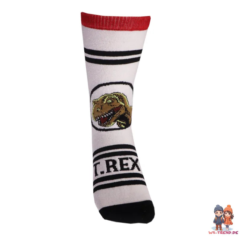 Jurassic World T-Rex lange Kinder Socken 2er Pack - WS-Trend.de Gr. 27 bis 38 für Jungen