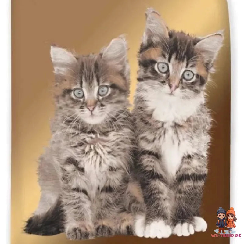 Katzen Bettwäsche 2tlg Set 135x200 80x80 cm Garnitur 100% Baumwolle - WS-Trend.de