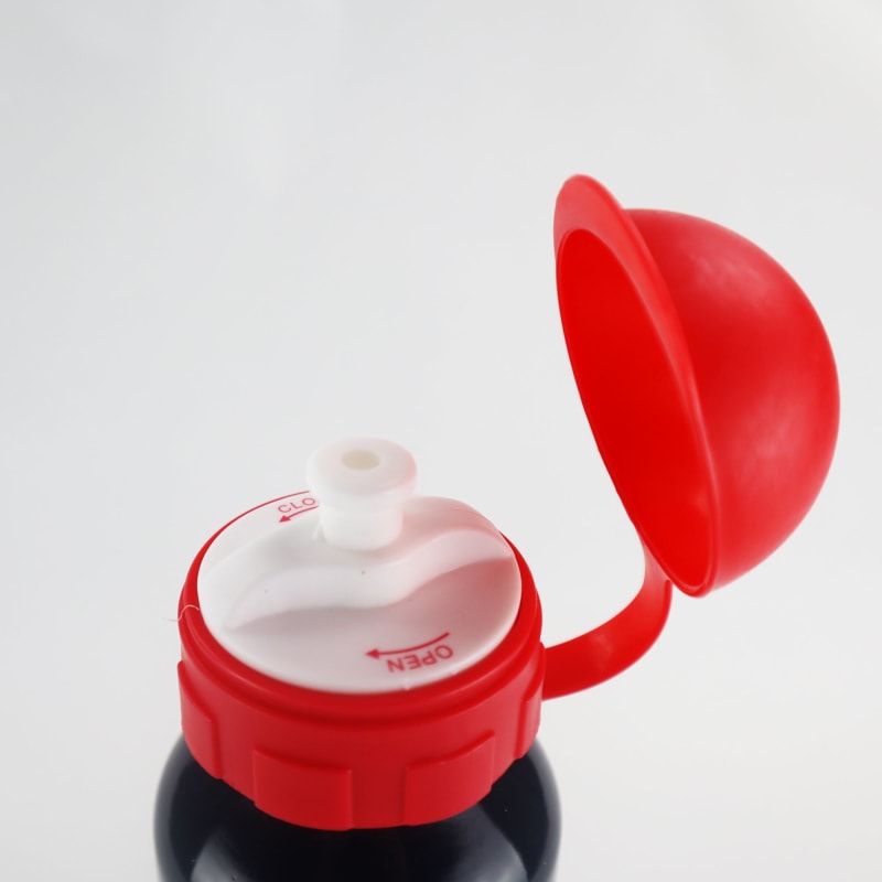 Miraculous Ladybug Alu Trinkflasche Flasche 520 ml Cat Noir - WS-Trend.de Wasserflasche