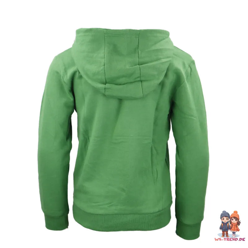 LEGO® Ninjago Kinder Hoodie WS Trend.de Kapuzen Pullover Gr. 98 128 Jungen Blau Grün
