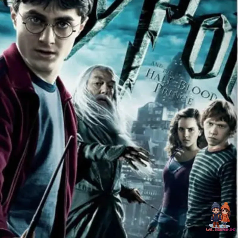 Harry Potter Film Bettwäsche 2tlg Set 135x200 80x80 cm 100% Baumwolle - WS-Trend.de