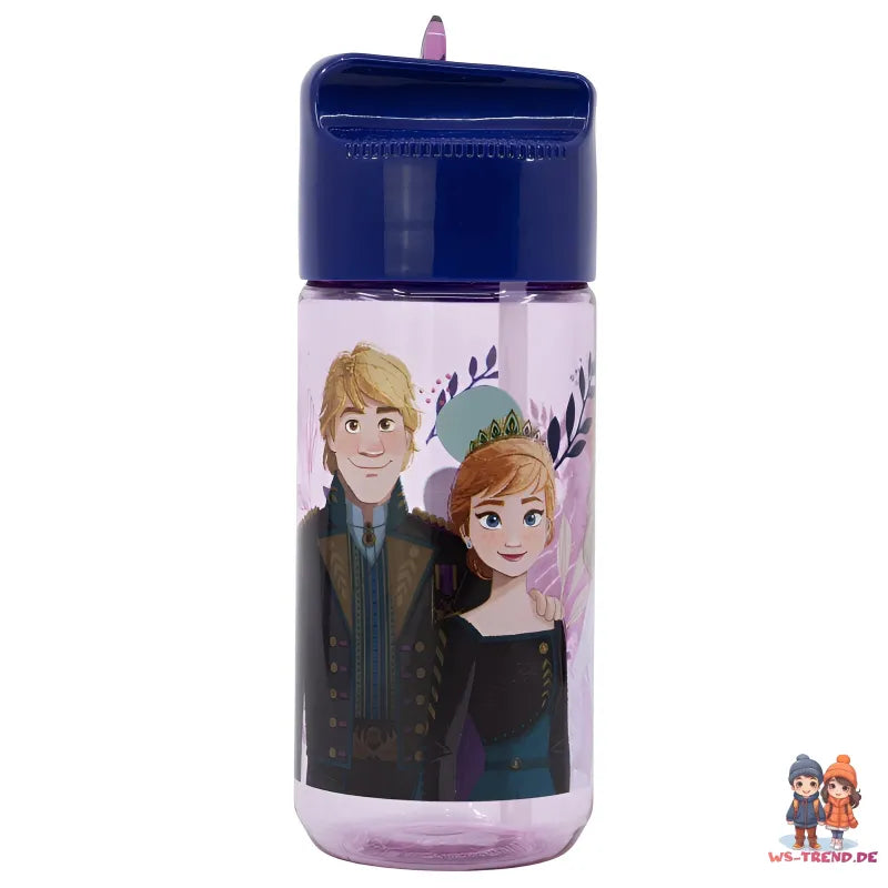 Disney Die Eiskönigin Kinder Wasserflasche Trinkflasche Flasche 430 ml - WS-Trend.de