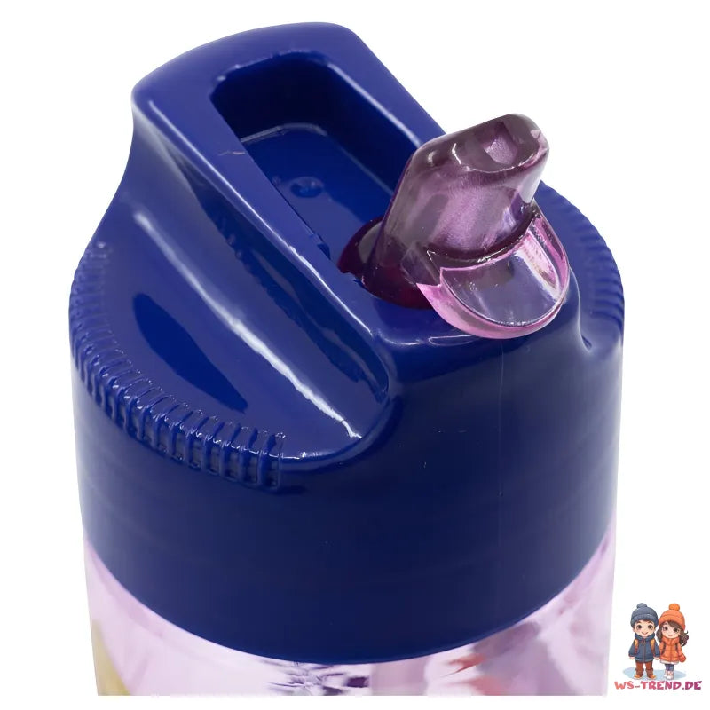 Disney Die Eiskönigin Kinder Wasserflasche Trinkflasche Flasche 430 ml - WS-Trend.de